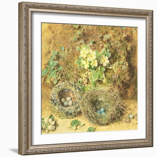 Primroses and Birds' Nests-William Henry Hunt-Framed Giclee Print