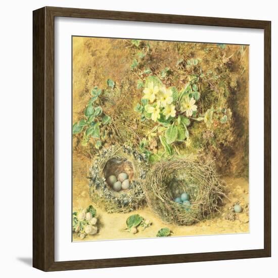 Primroses and Birds' Nests-William Henry Hunt-Framed Giclee Print