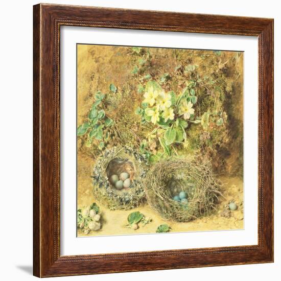 Primroses and Birds' Nests-William Henry Hunt-Framed Giclee Print