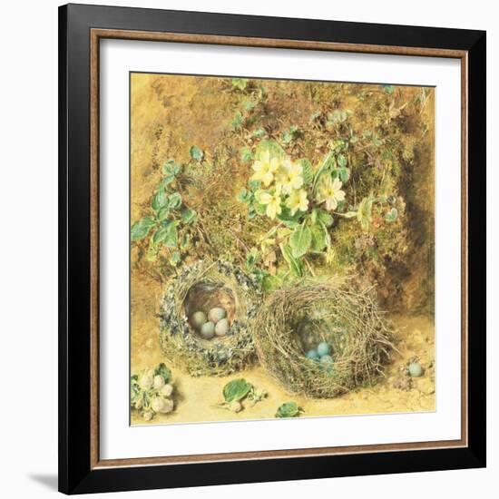 Primroses and Birds' Nests-William Henry Hunt-Framed Giclee Print