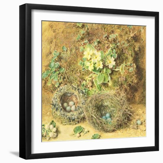 Primroses and Birds' Nests-William Henry Hunt-Framed Giclee Print