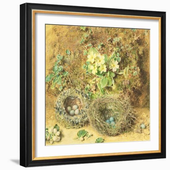 Primroses and Birds' Nests-William Henry Hunt-Framed Giclee Print