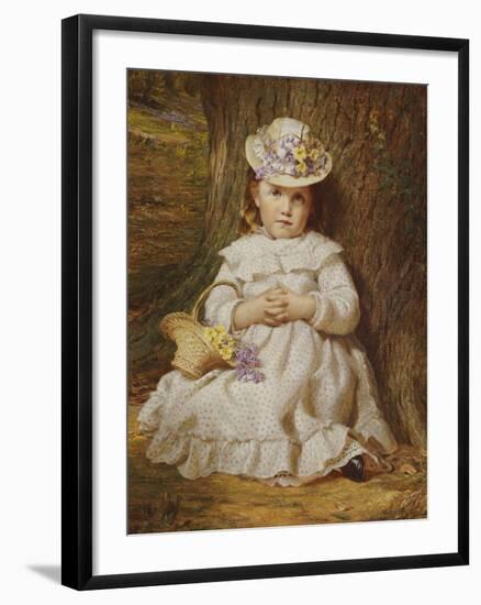 Primroses and Bluebells-Samuel Sidley-Framed Giclee Print