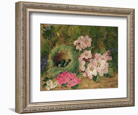 Primroses by a Bird's Nest (Oil on Canvas)-Oliver Clare-Framed Giclee Print