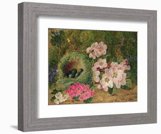 Primroses by a Bird's Nest (Oil on Canvas)-Oliver Clare-Framed Giclee Print