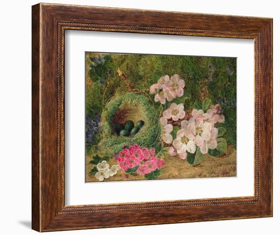 Primroses by a Bird's Nest (Oil on Canvas)-Oliver Clare-Framed Giclee Print