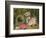 Primroses by a Bird's Nest (Oil on Canvas)-Oliver Clare-Framed Giclee Print