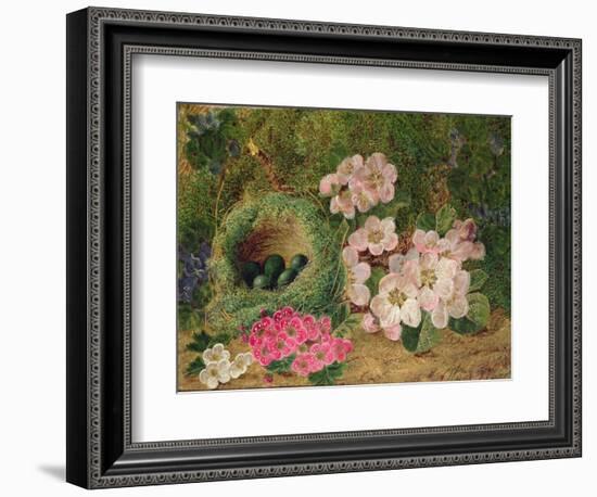 Primroses by a Bird's Nest (Oil on Canvas)-Oliver Clare-Framed Giclee Print