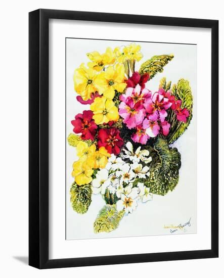 Primroses, White, Yellow, Pink and Red, 2000-Joan Thewsey-Framed Giclee Print