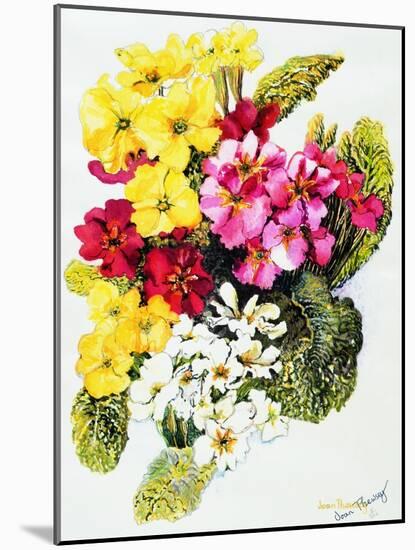 Primroses, White, Yellow, Pink and Red, 2000-Joan Thewsey-Mounted Giclee Print
