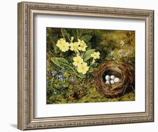 Primroses with a Bird's Nest-H. Bernard Grey-Framed Giclee Print