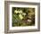 Primroses with a Bird's Nest-H. Bernard Grey-Framed Giclee Print