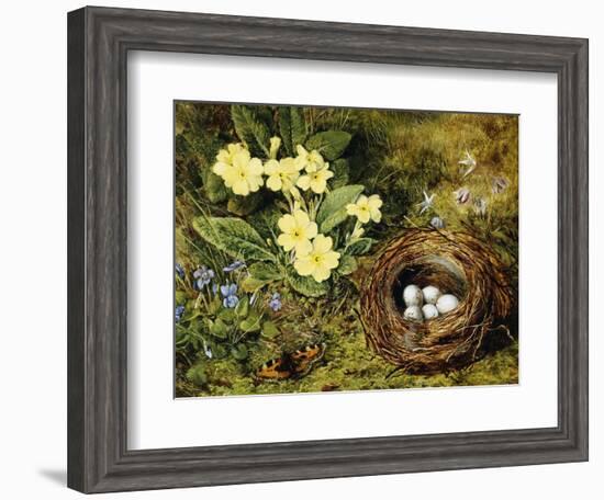 Primroses with a Bird's Nest-H. Bernard Grey-Framed Giclee Print