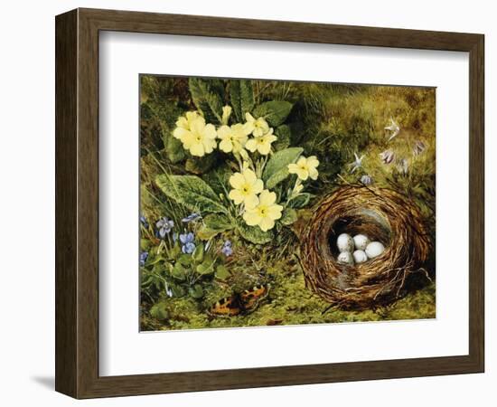 Primroses with a Bird's Nest-H. Bernard Grey-Framed Giclee Print