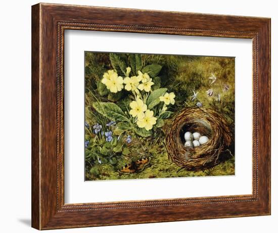 Primroses with a Bird's Nest-H. Bernard Grey-Framed Giclee Print