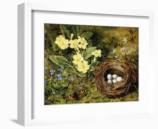 Primroses with a Bird's Nest-H. Bernard Grey-Framed Giclee Print