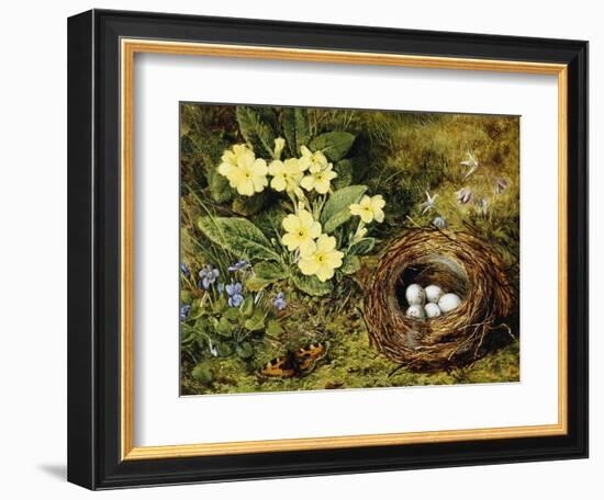 Primroses with a Bird's Nest-H. Bernard Grey-Framed Giclee Print