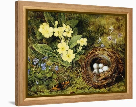 Primroses with a Bird's Nest-H. Bernard Grey-Framed Premier Image Canvas