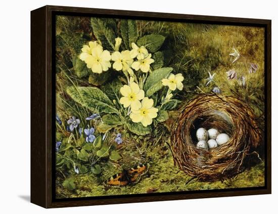 Primroses with a Bird's Nest-H. Bernard Grey-Framed Premier Image Canvas