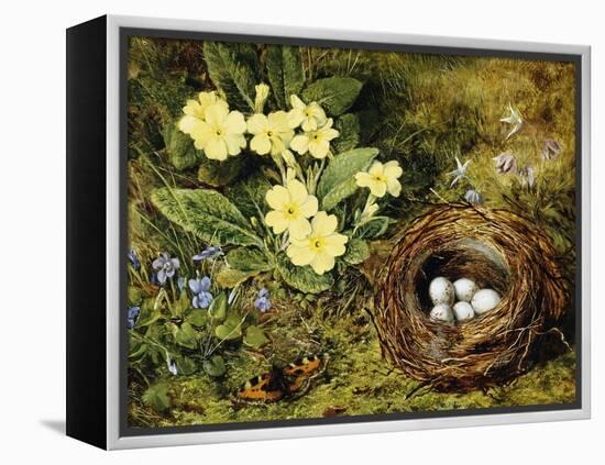 Primroses with a Bird's Nest-H. Bernard Grey-Framed Premier Image Canvas