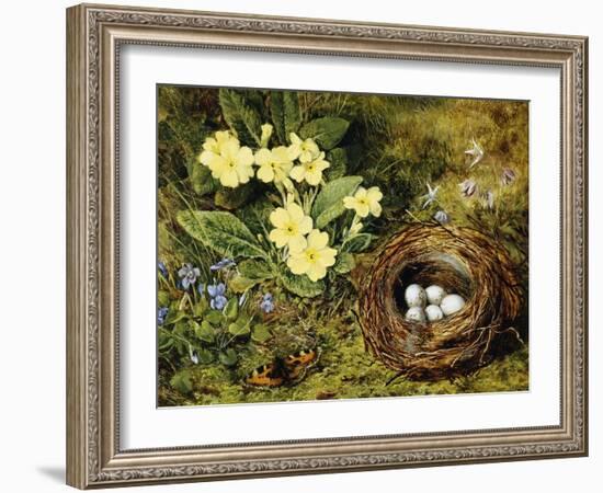 Primroses with a Bird's Nest-H. Bernard Grey-Framed Giclee Print