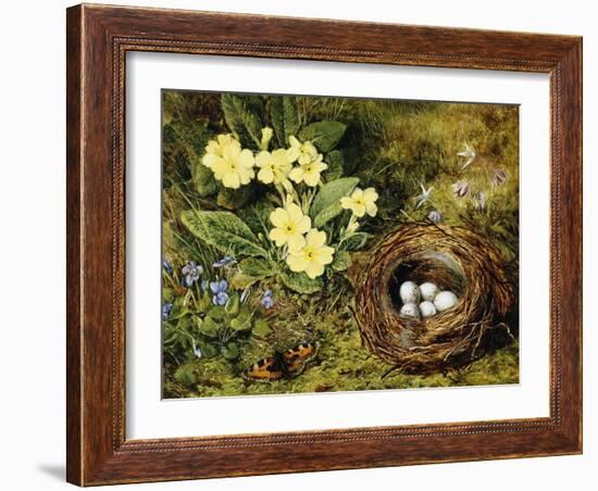 Primroses with a Bird's Nest-H. Bernard Grey-Framed Giclee Print