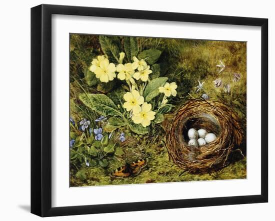 Primroses with a Bird's Nest-H. Bernard Grey-Framed Giclee Print