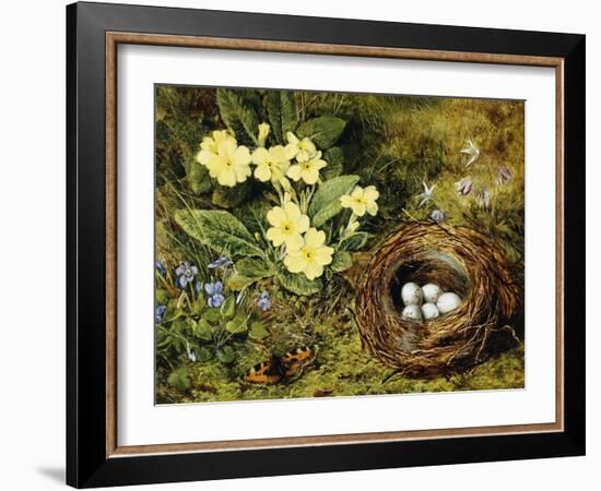 Primroses with a Bird's Nest-H. Bernard Grey-Framed Giclee Print