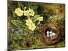 Primroses with a Bird's Nest-H. Bernard Grey-Mounted Giclee Print