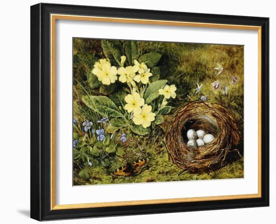 Primroses with a Bird's Nest-H. Bernard Grey-Framed Giclee Print