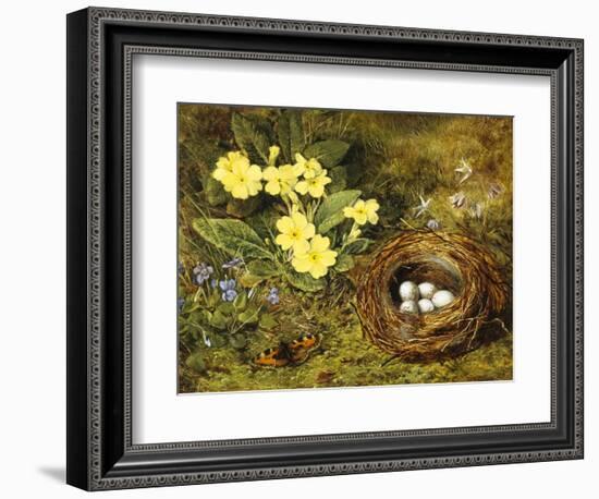 Primroses with a Bird's Nest-H. Barnard Grey-Framed Giclee Print