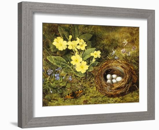 Primroses with a Bird's Nest-H. Barnard Grey-Framed Giclee Print