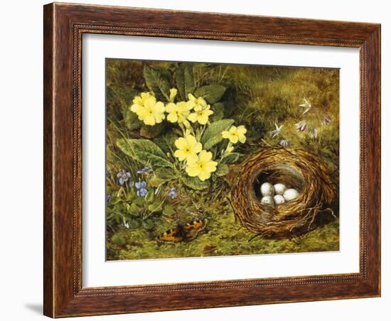 Primroses with a Bird's Nest-H. Barnard Grey-Framed Giclee Print