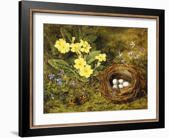 Primroses with a Bird's Nest-H. Barnard Grey-Framed Giclee Print