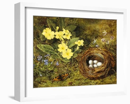 Primroses with a Bird's Nest-H. Barnard Grey-Framed Giclee Print