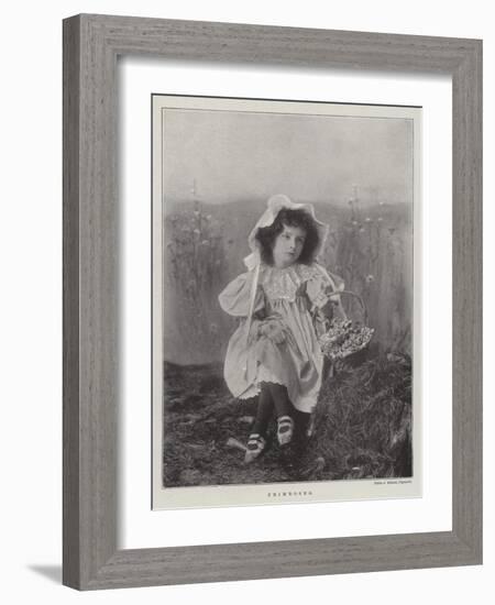 Primroses-null-Framed Giclee Print