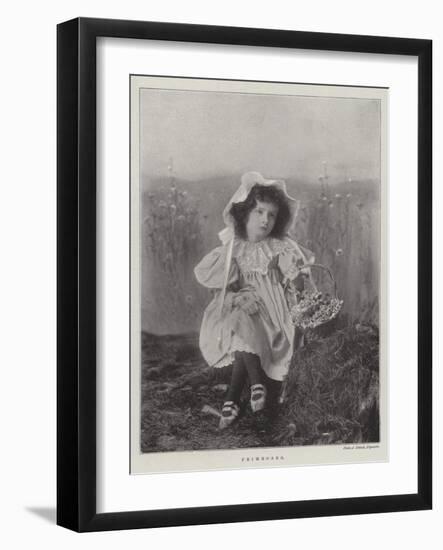 Primroses-null-Framed Giclee Print