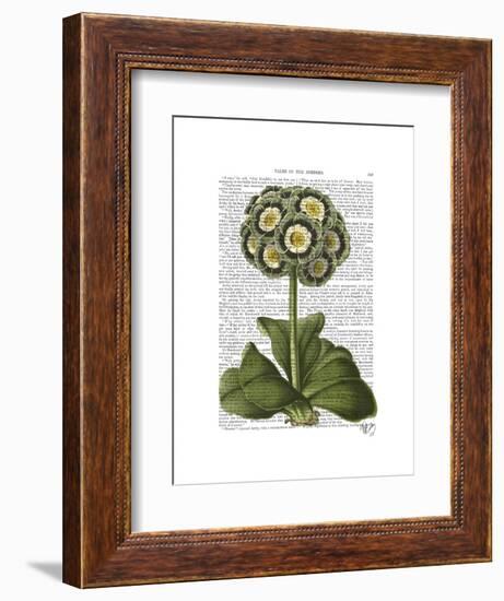 Primula Auricula Blue-Fab Funky-Framed Art Print