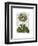 Primula Auricula Blue-Fab Funky-Framed Art Print