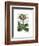 Primula Auricula Red-Fab Funky-Framed Art Print