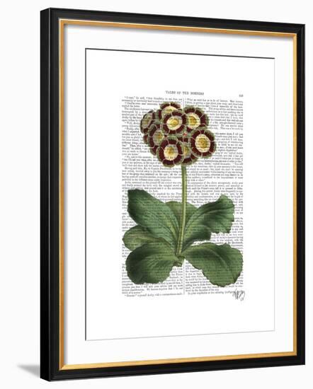 Primula Auricula Red-Fab Funky-Framed Art Print