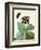 Primula Auricula with Butterfly and Beetle (Gouache over Pencil on Vellum)-Matilda Conyers-Framed Giclee Print