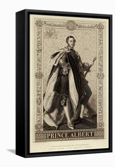 Prince Albert (1819-61)-null-Framed Stretched Canvas