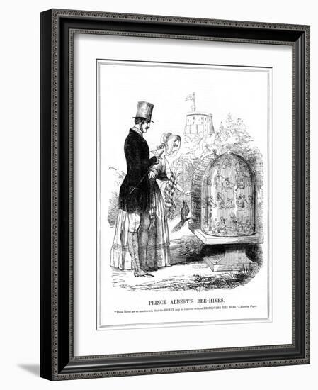 Prince Albert's Bee-Hives, 1843-null-Framed Giclee Print