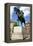 Prince Albert Statue, Wolverhampton, West Midlands-Peter Thompson-Framed Premier Image Canvas