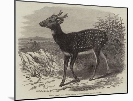 Prince Alfred's Stag, from Singapore, in the Zoological Society's Gardens-Thomas W. Wood-Mounted Giclee Print