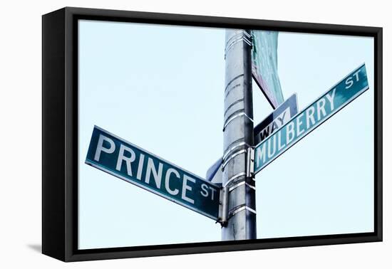Prince and Mulberry Street Signs, Little Italy, New York City-Sabine Jacobs-Framed Premier Image Canvas