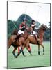 Prince Charles Playing Polo at Smiths Lawn, Windsor May 1987-null-Mounted Photographic Print