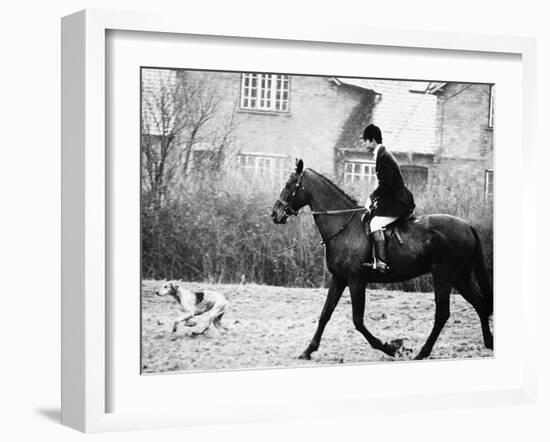 Prince Charles Prince of Wales Going Hunting on His Horse with His Dog March 1981-null-Framed Photographic Print