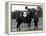 Prince Charles Sits on Horse in Polo Game July 1979-null-Framed Premier Image Canvas